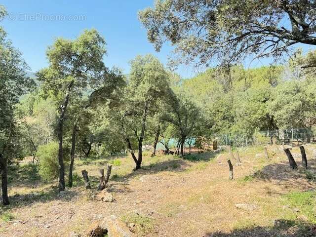 Terrain Ste Anastasie sur Issole 950m² - photo 5