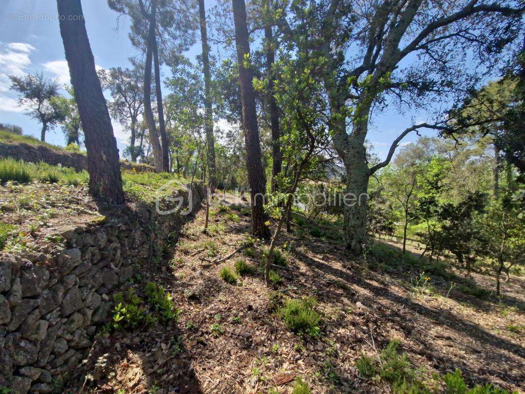 Terrain à LES ADRETS-DE-L&#039;ESTEREL