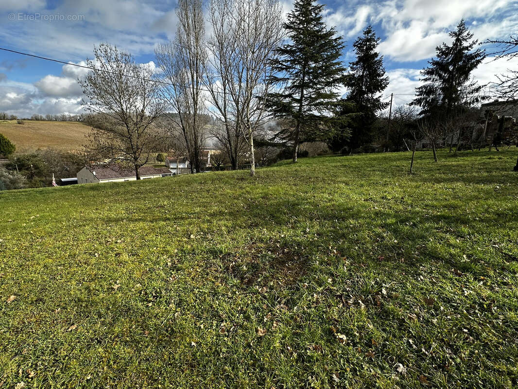 Terrain Pont Du Casse - photo 3