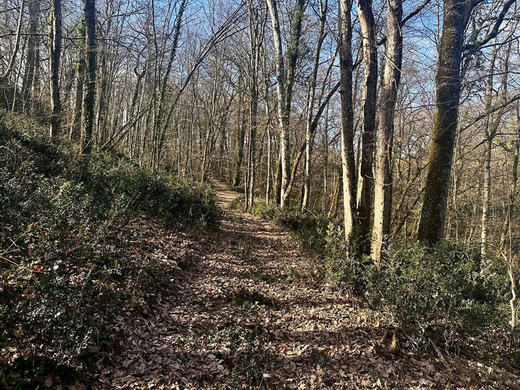 Maison à MONTESQUIEU