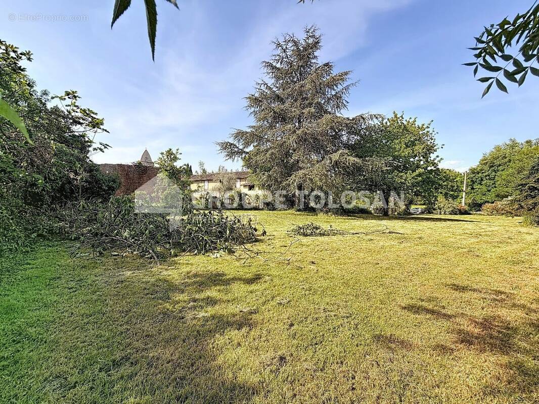 Terrain à GRAGNAGUE