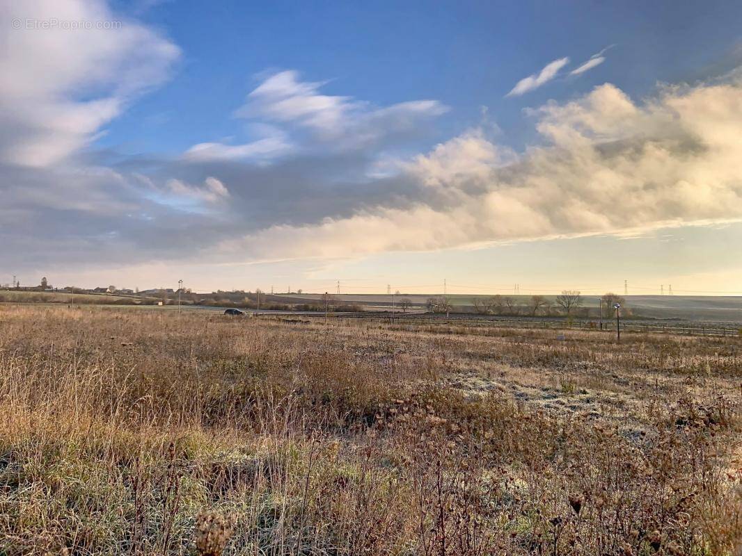 Terrain à MARLENHEIM