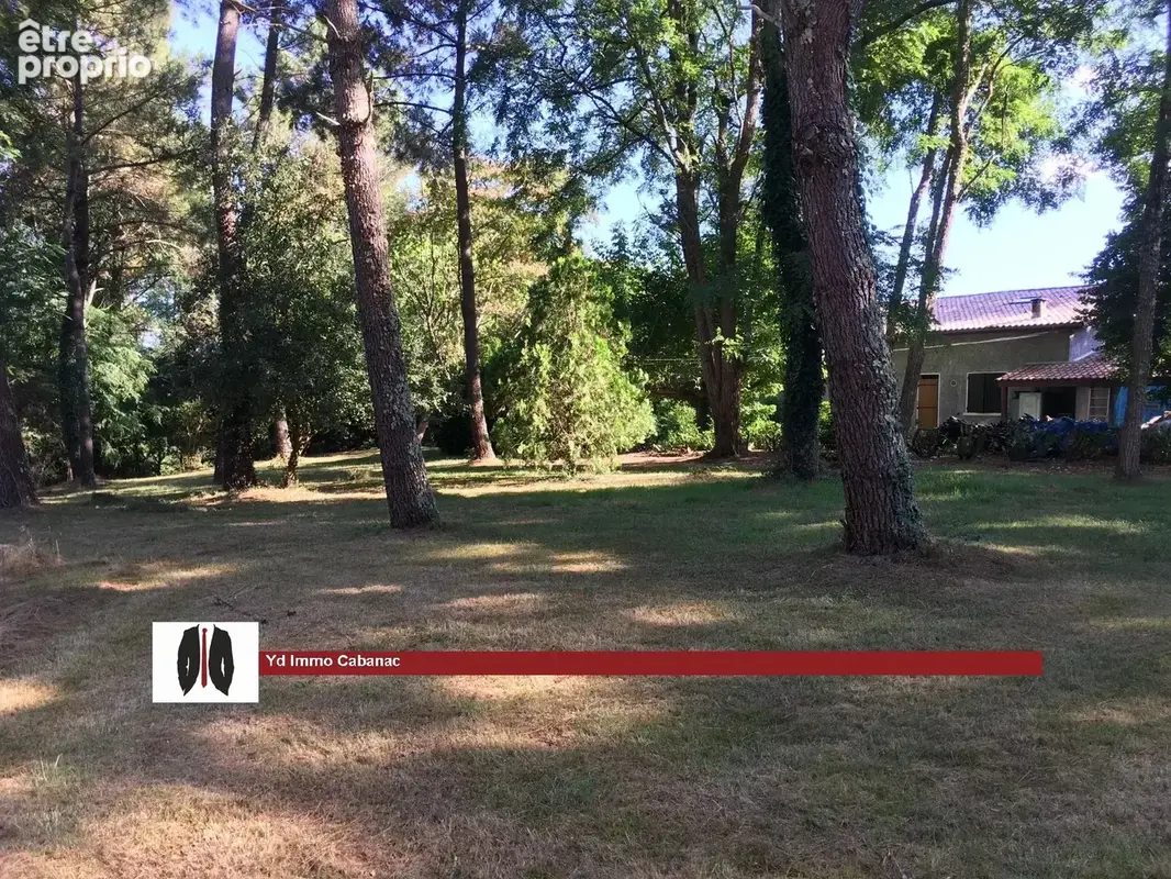 Grande maison landaise de plus de 210 m² sur vaste terrain arboré - photo 21