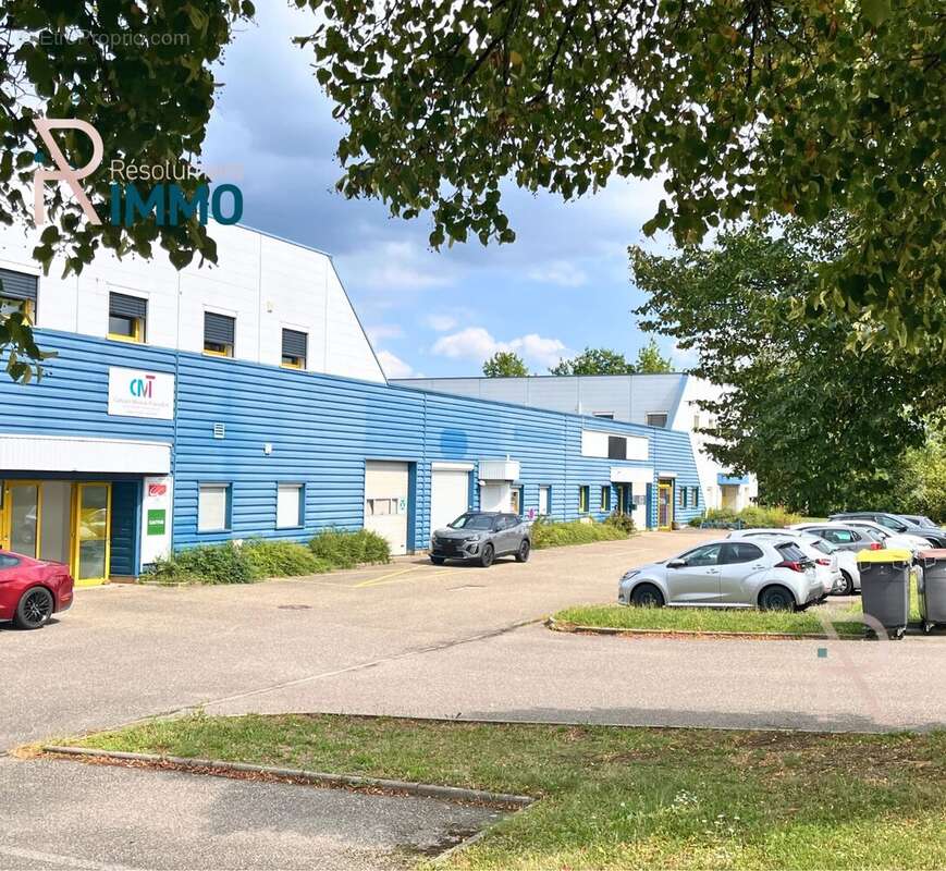 Commerce à SAUSHEIM