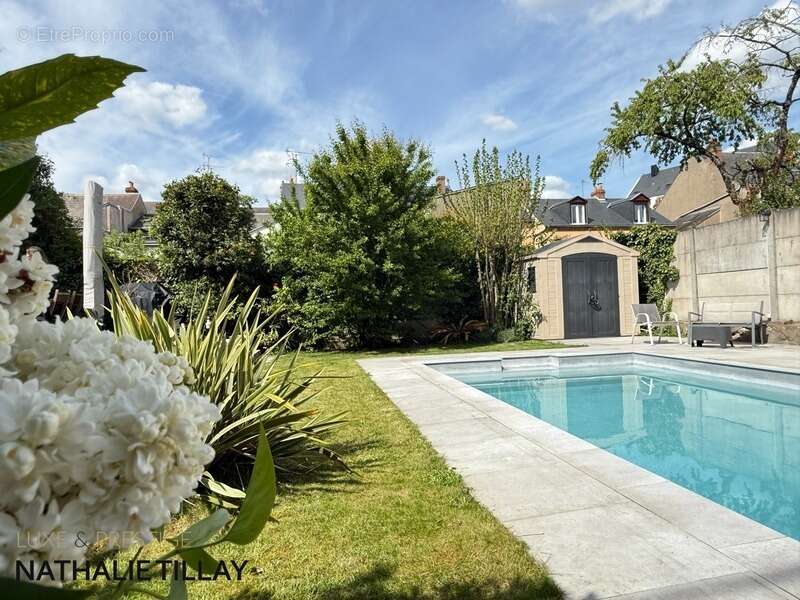 Orléans Dunois, Maison à vendre  avec jardin, piscine et stationnements - photo 2