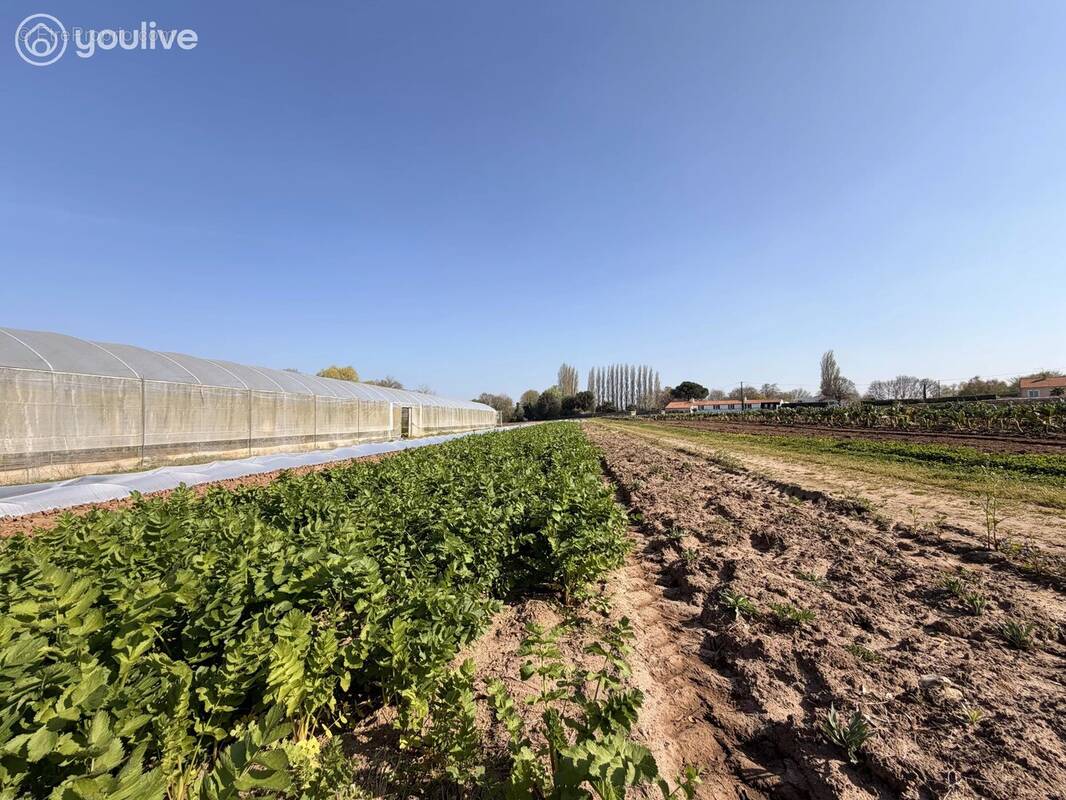 Terrain à MACHECOUL