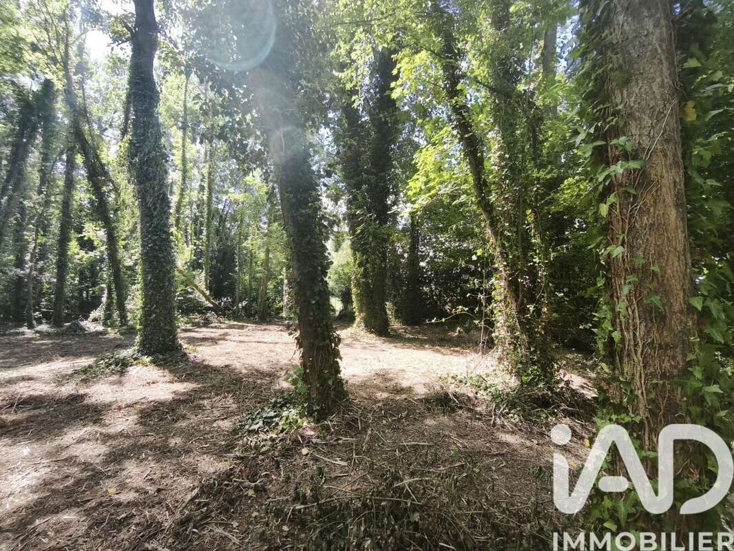 Terrain 2320 m² à Boult-Sur-Suippe  - photo 5
