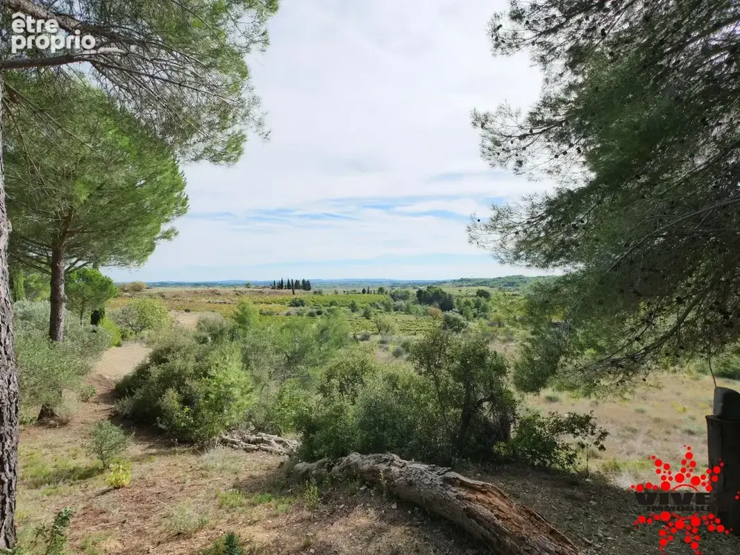 Villa de plain-pied avec piscine et vue exceptionnelle sur les collines du Minervois - photo 19