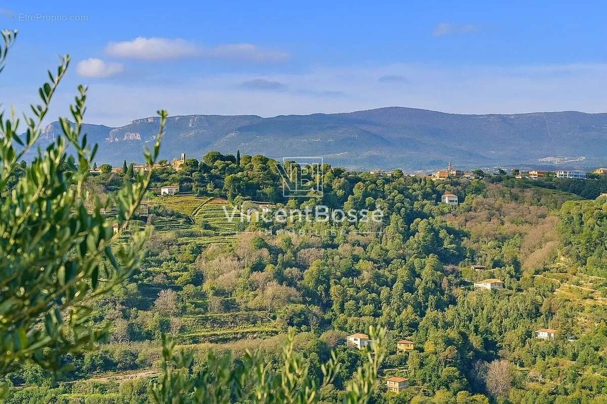Nice – saint-pancrace – terrain constructible d’environ 5 000 m² – exclusivité - photo 3