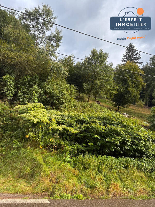 Terrain à GOETZENBRUCK