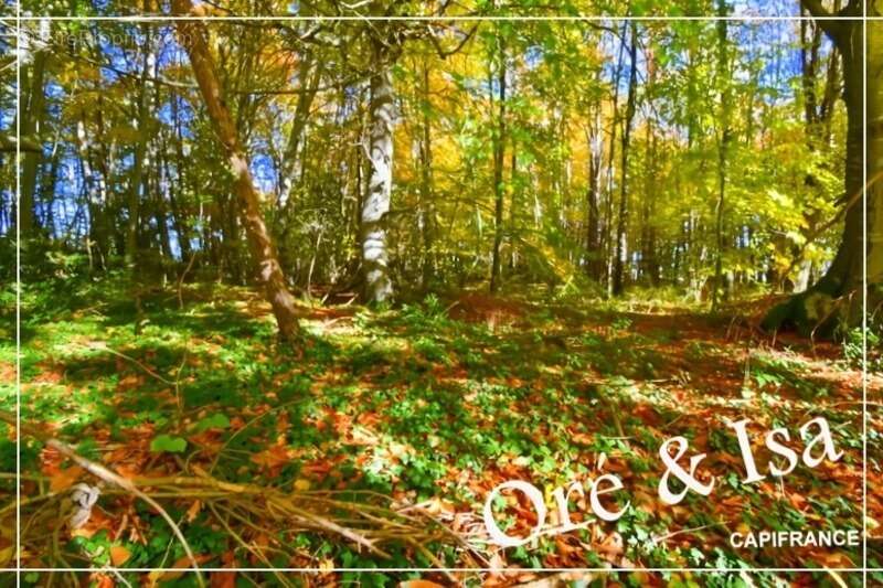 Terrain à SAINT-DESIRE