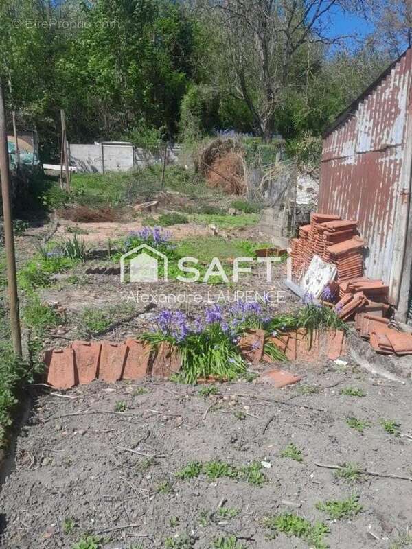 Photo 7