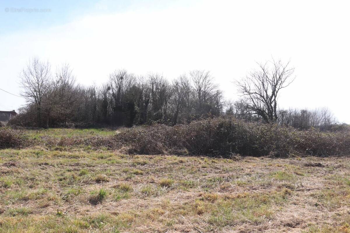 Terrain à LA FERTE-SOUS-JOUARRE