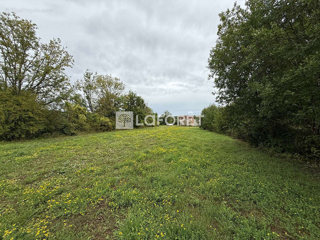 Terrain à DOULAINCOURT-SAUCOURT