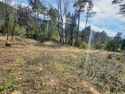 Terrain à SAINT-AMBROIX