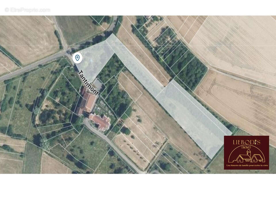 Maison à BRALLEVILLE