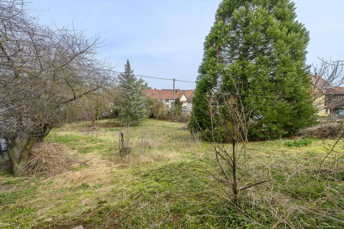 Terrain constructible viabilisé 8,49 ares - photo 4