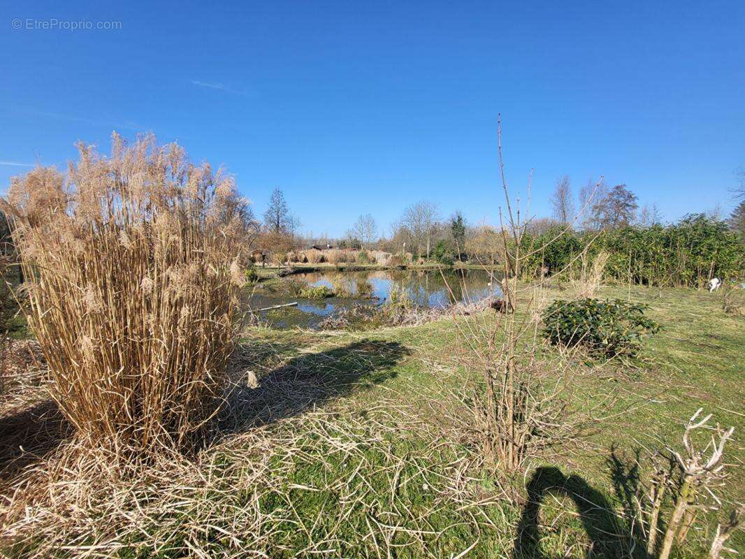 Maison à VITZ-SUR-AUTHIE