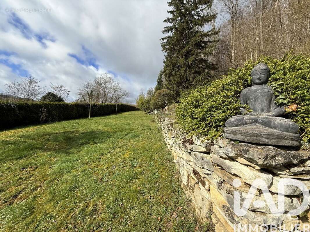 Photo 6 - Maison à VILLERS-COTTERETS