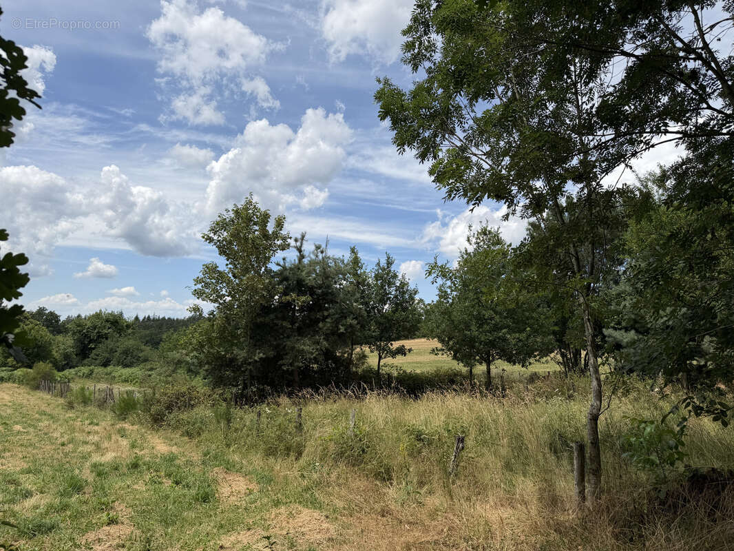 Charme corrézien et potentiel locatif au cœur de la vallée de la Dordogne - photo 8
