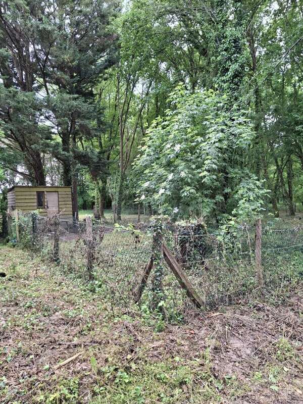À vendre longère terrain 1,8 ha St-Malo-en-Donziois - photo 53