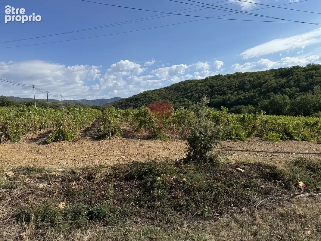 Loiras vente terrain a batir - photo 11