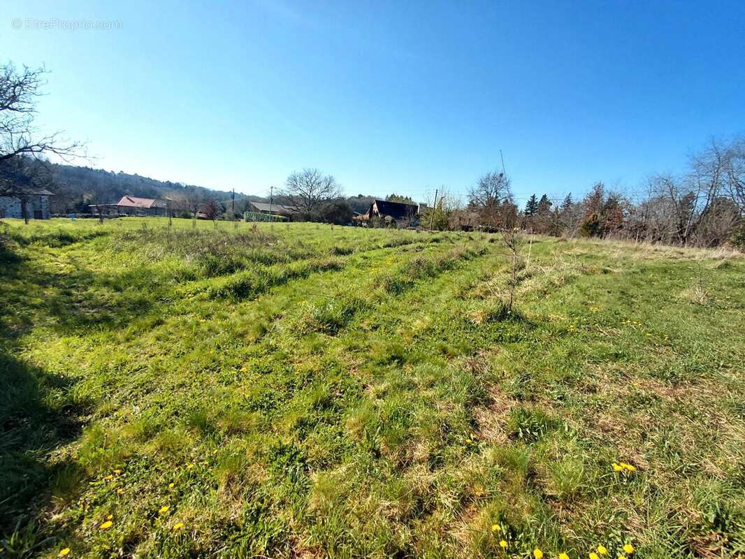 Photo 3 - Maison à SAINT-SAUD-LACOUSSIERE