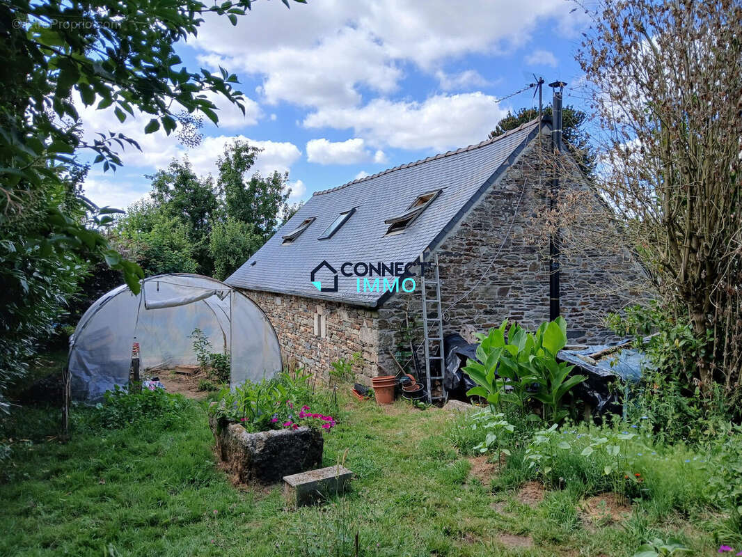Maison 56 m² à Paule  - photo 3
