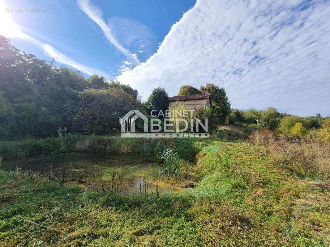 Maison à MONTFORT-EN-CHALOSSE