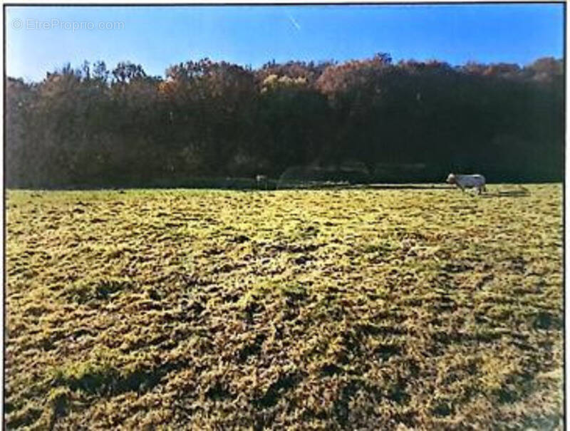 Terrain à BENAC