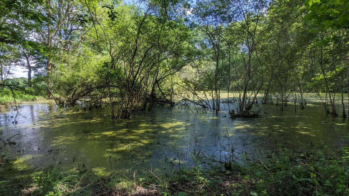 Terrain à USSON-DU-POITOU
