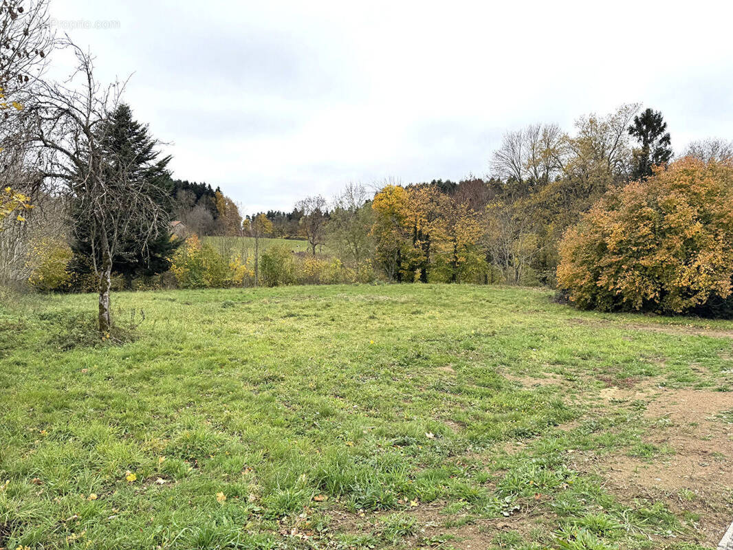 Terrain à RAUCOULES