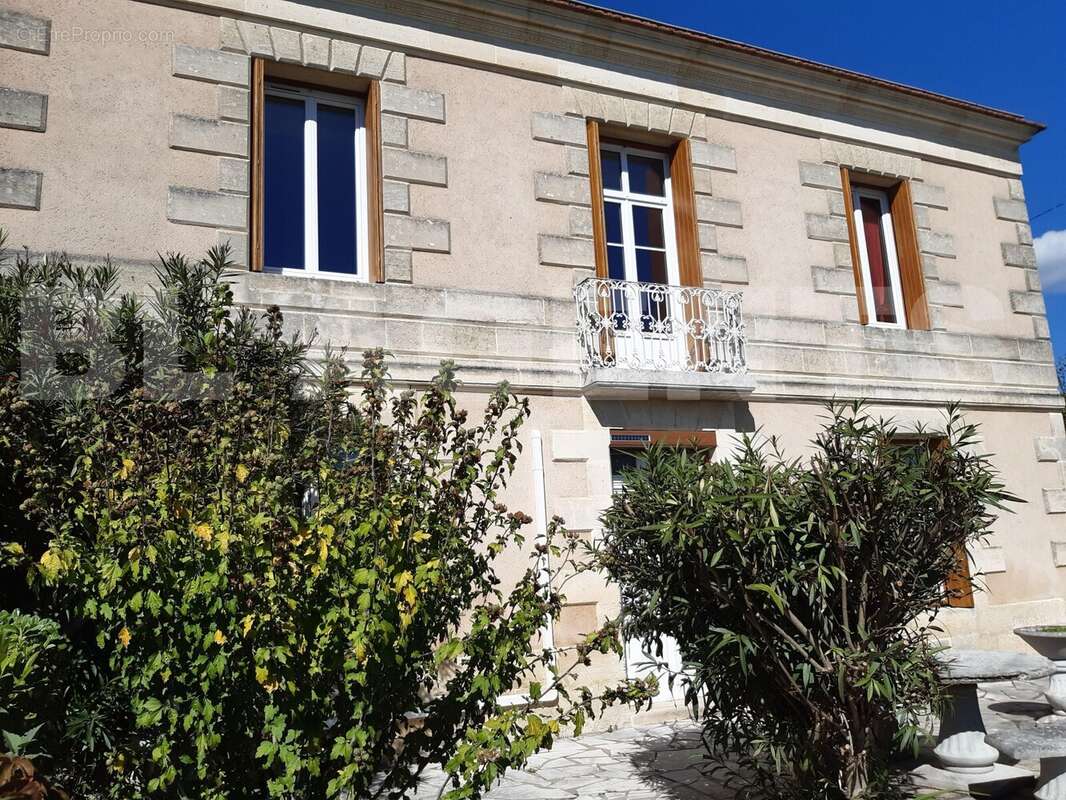 maison exterieur 1 delgue - Maison à BERSON