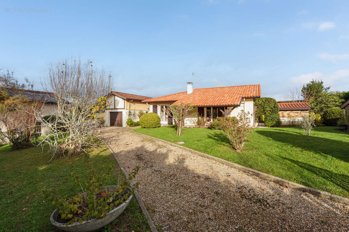 Maison à SAINT-ANDRE-DE-SEIGNANX