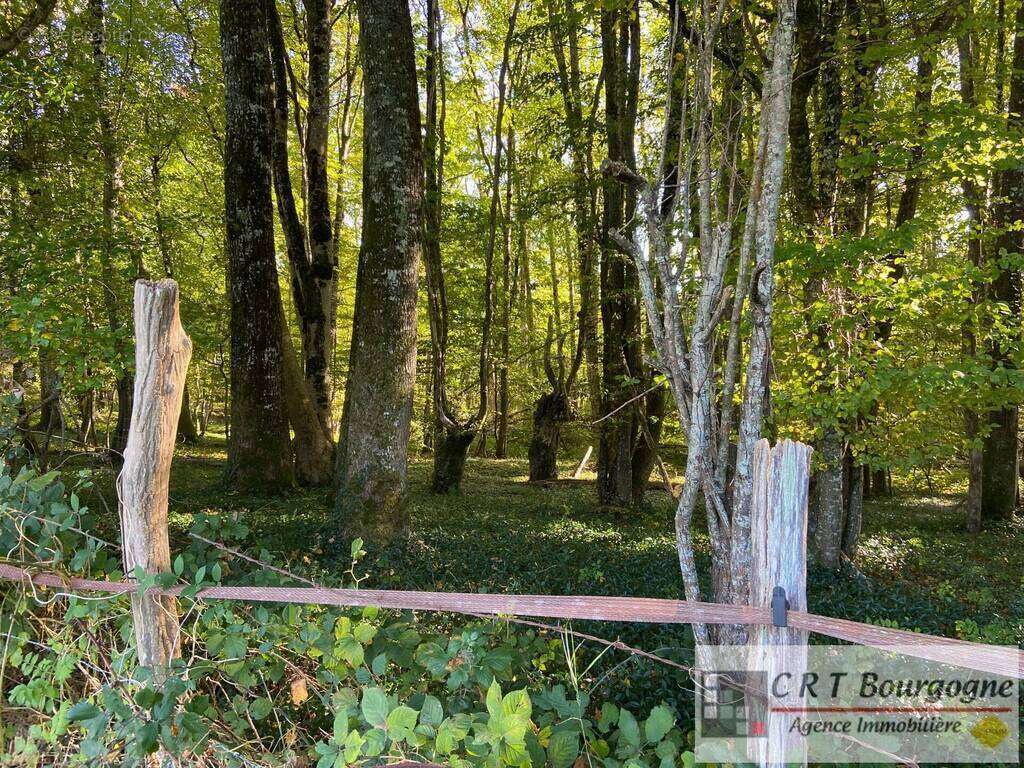 Maison à MOULINS-SUR-OUANNE