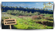 Terrain à SAULCY-SUR-MEURTHE