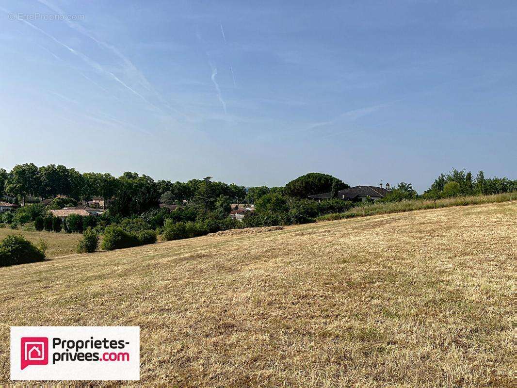 Terrain à RABASTENS