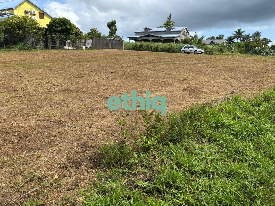 Terrain à SAINTE-ROSE