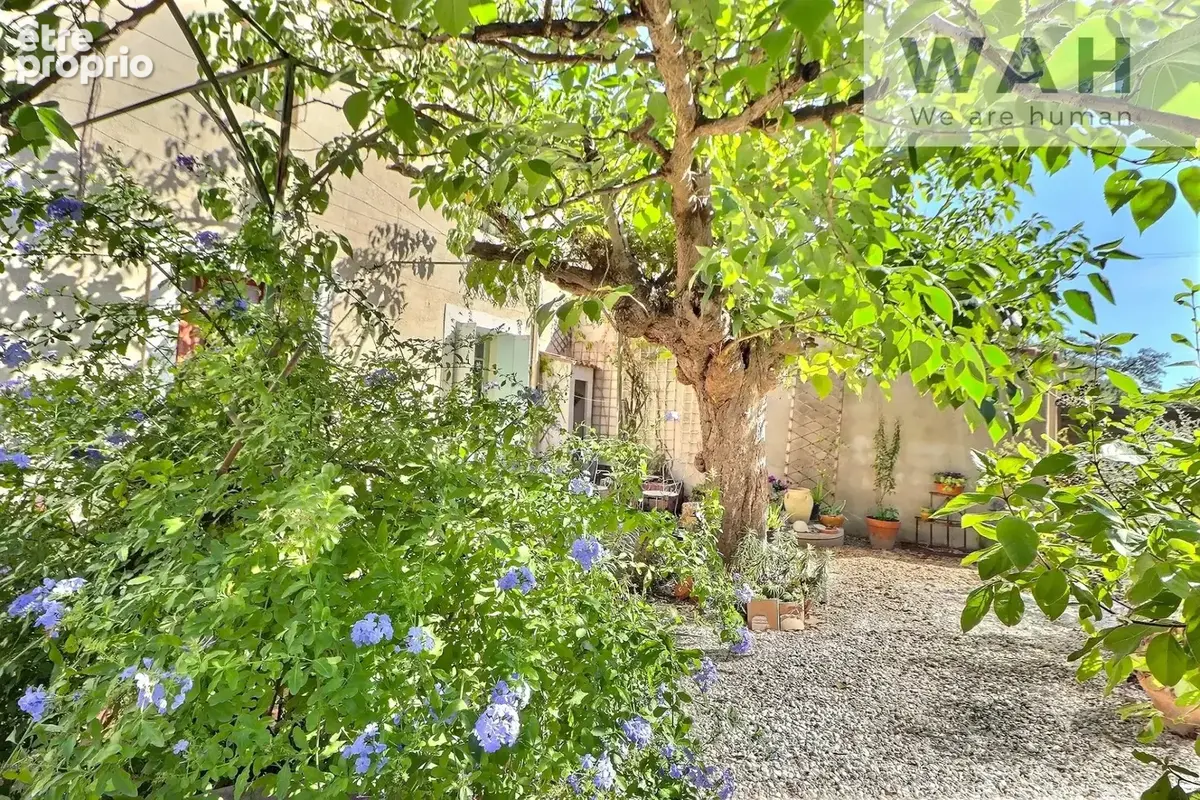 Maison de ville 1900 avec grange attenante et jardin   Castr - photo 20