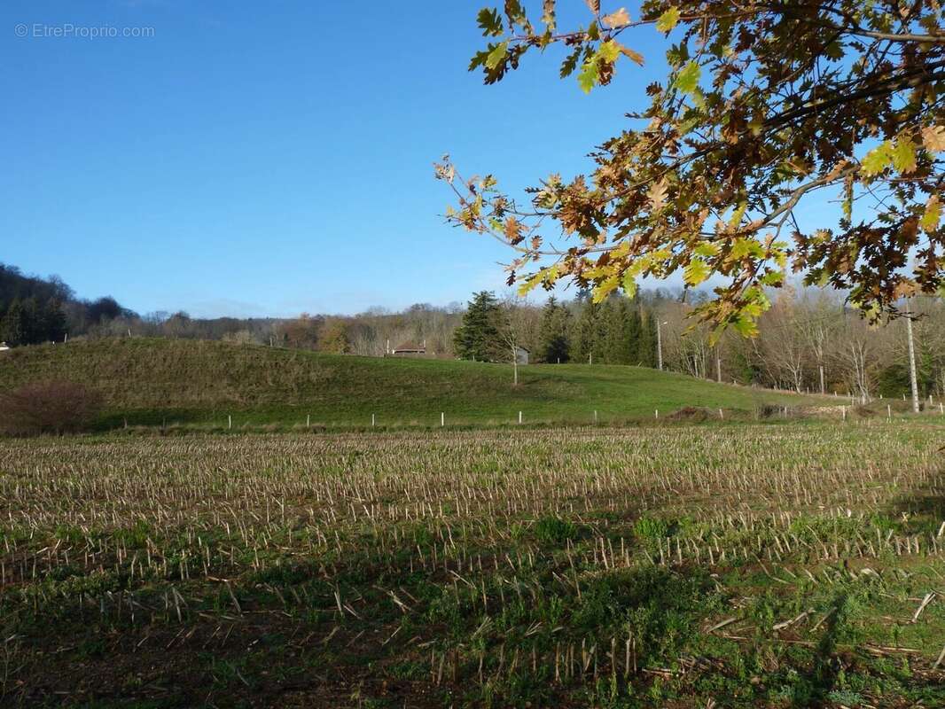 Vue, calme et tranquillité - photo 4