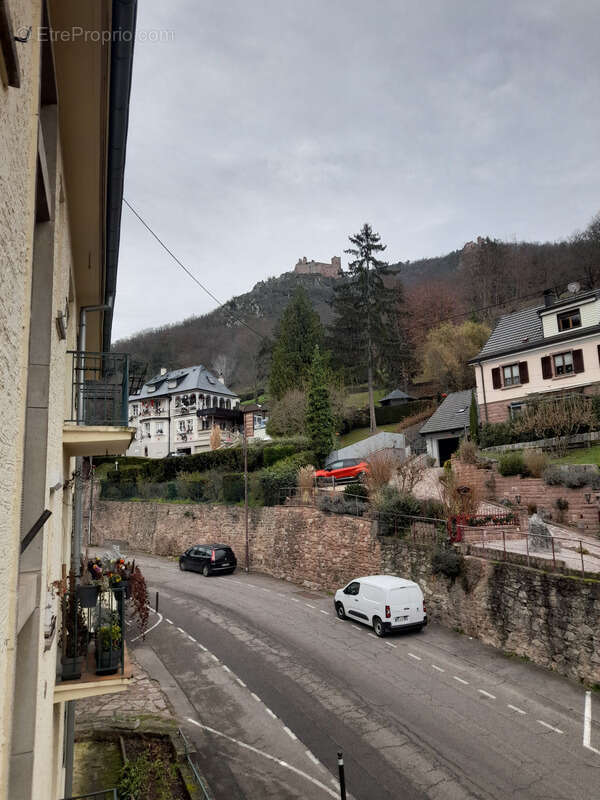 Appartement à RIBEAUVILLE