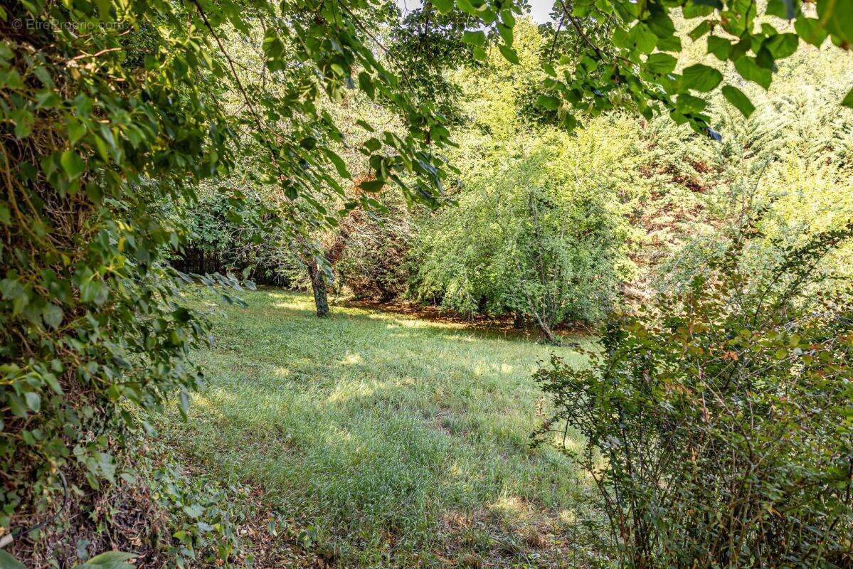 Maison à SAINT-PAUL-DE-SERRE