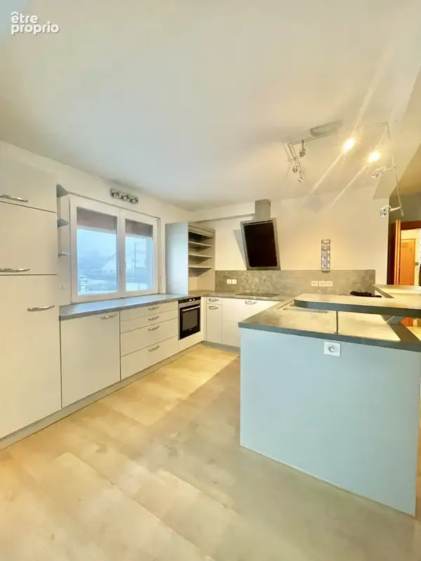 Ensemble immobilier  sur 23 ares avec maison de 170 m2 - photo 2