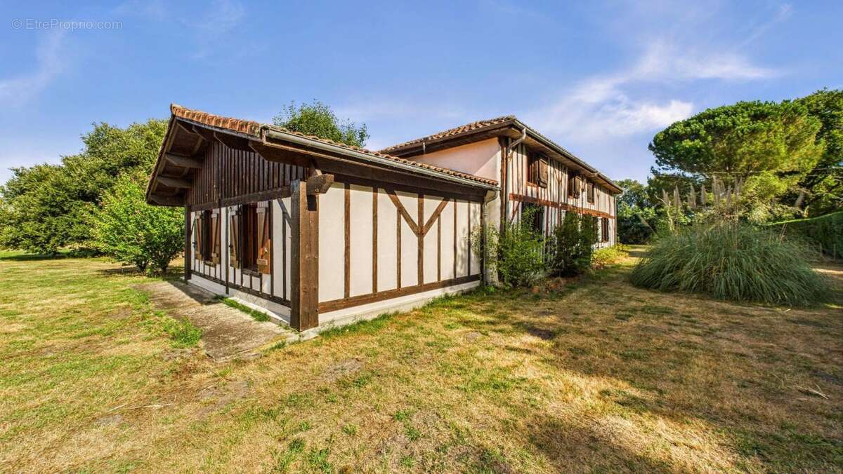 Maison à SABRES