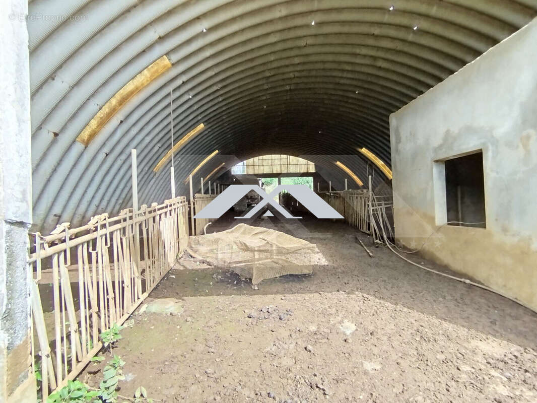 Terrain à SAINT-BENOIT