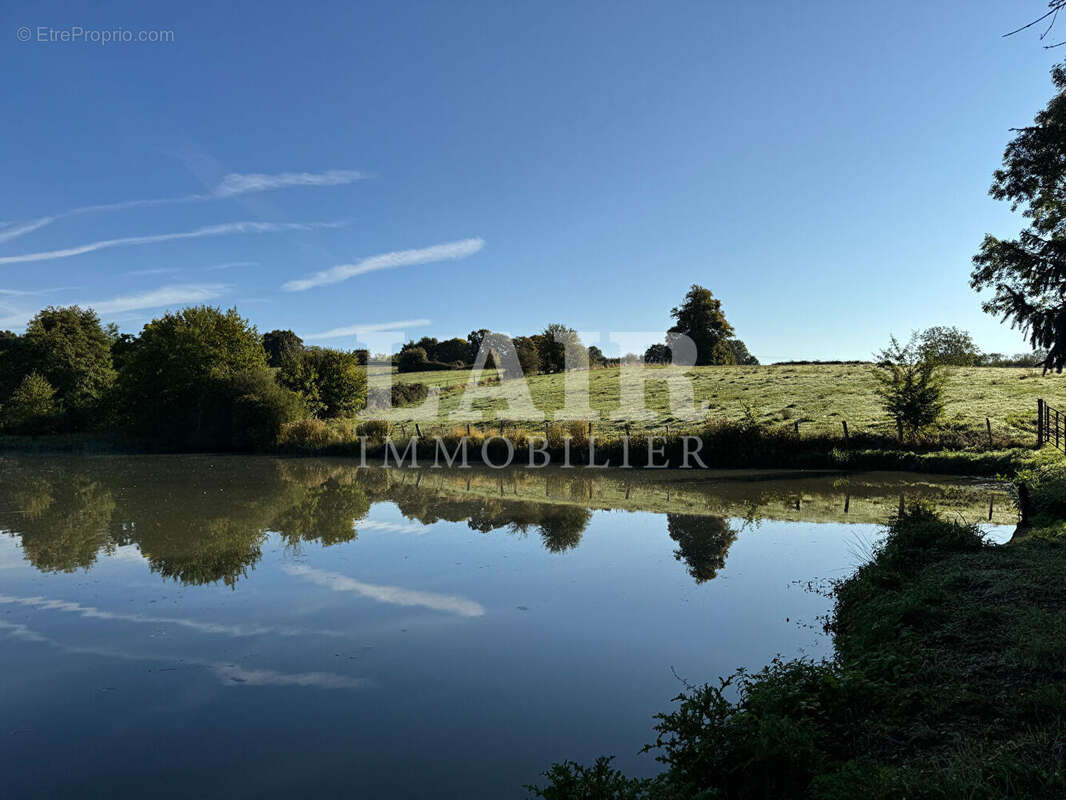 Terrain à MOULINS-LA-MARCHE
