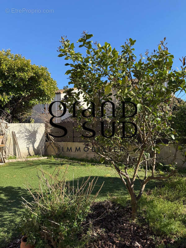 Maison à LE GRAU-DU-ROI
