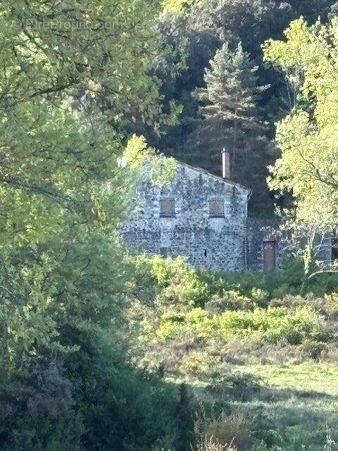 Propriété Agricole avec maison - photo 3