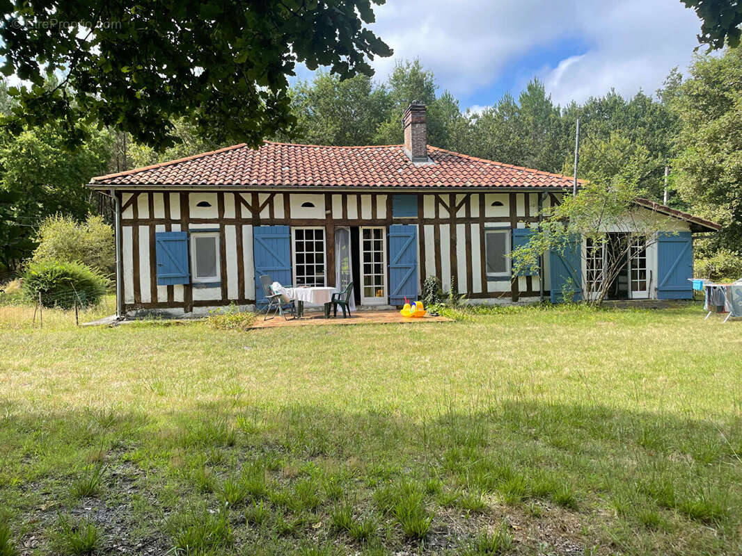 Traditionnelle landaise - photo 2