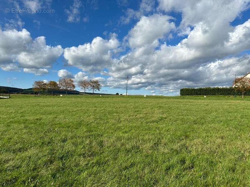 Terrain à VITTEAUX